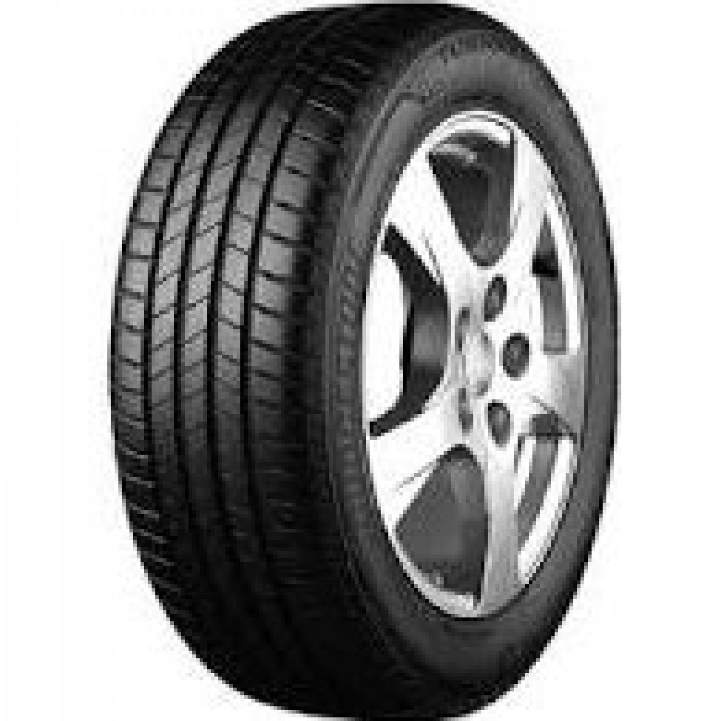 205/55 R17 T005 95V XL (Szgk.nyári abroncs)